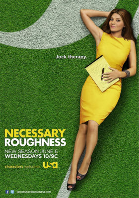 Necessary Roughness.jpg