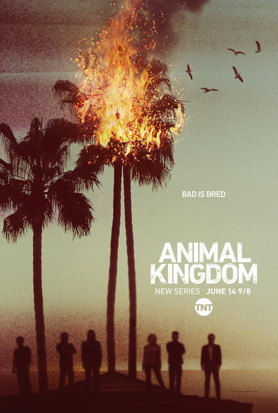 Animal Kingdom10.jpg